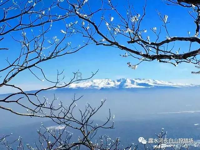权力与纷争